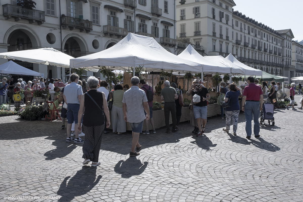 _DSF0042.jpg - 28/06/2020. Torino. Si rinnova l'appuntamento con i vivaisti e con i produttori Agricoli in Piazza Vittorio. AgriFlor Ã¨ realizzato in collaborazione con Rinascente, partner dellâ€™iniziativa. Lo Store in via Lagrange ha ospitato â€œiniziative e talkâ€� allâ€™interno dellâ€™Exhibition Area al piano -1, giÃ  allestita a tema Design&Green con unâ€™incredibile varietÃ  di fiori e piante. Nella foto lo spazio dedicato alla manifestazione in piazza Vittorio Veneto.