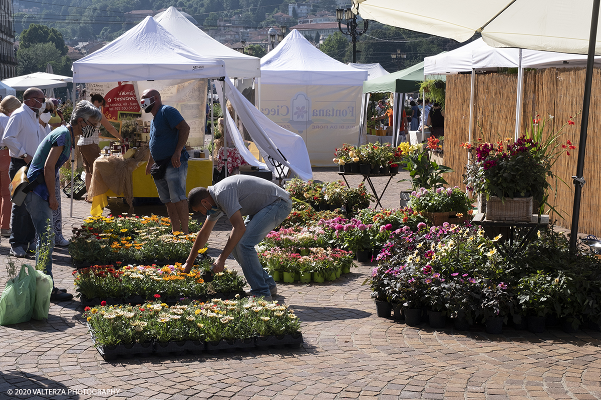 _DSF0051.jpg - 28/06/2020. Torino. Si rinnova l'appuntamento con i vivaisti e con i produttori Agricoli in Piazza Vittorio. AgriFlor Ã¨ realizzato in collaborazione con Rinascente, partner dellâ€™iniziativa. Lo Store in via Lagrange ha ospitato â€œiniziative e talkâ€� allâ€™interno dellâ€™Exhibition Area al piano -1, giÃ  allestita a tema Design&Green con unâ€™incredibile varietÃ  di fiori e piante. Nella foto in Piazza Vittorio spazio dedicato a vivaisti provenienti dalLago Maggiore.