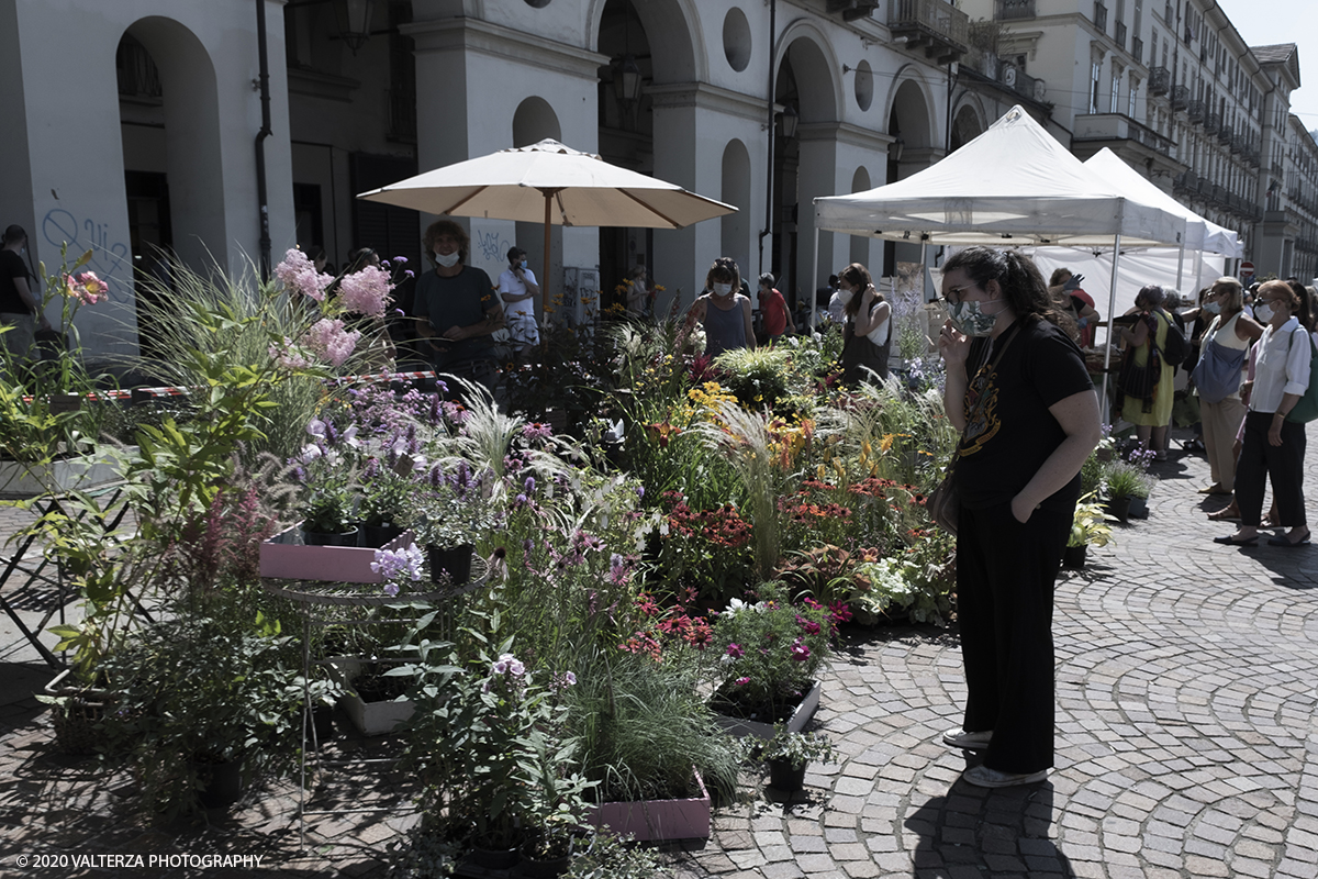 _DSF0094.jpg - 28/06/2020. Torino. Si rinnova l'appuntamento con i vivaisti e con i produttori Agricoli in Piazza Vittorio. AgriFlor Ã¨ realizzato in collaborazione con Rinascente, partner dellâ€™iniziativa. Lo Store in via Lagrange ha ospitato â€œiniziative e talkâ€� allâ€™interno dellâ€™Exhibition Area al piano -1, giÃ  allestita a tema Design&Green con unâ€™incredibile varietÃ  di fiori e piante. Nella foto lo spazio dedicato alla manifestazione in piazza Vittorio Veneto.