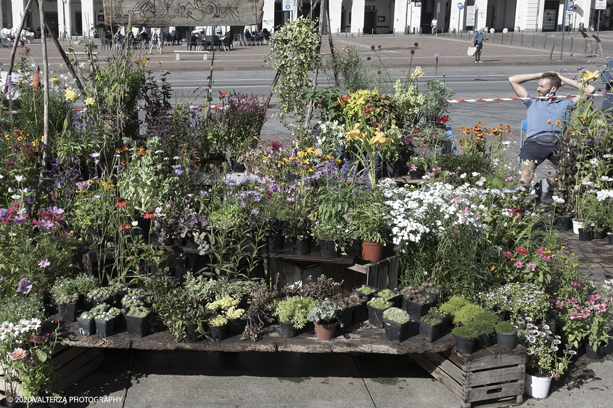 _DSF9793.jpg - 28/06/2020. Torino. Si rinnova l'appuntamento con i vivaisti e con i produttori Agricoli in Piazza Vittorio. AgriFlor Ã¨ realizzato in collaborazione con Rinascente, partner dellâ€™iniziativa. Lo Store in via Lagrange ha ospitato â€œiniziative e talkâ€� allâ€™interno dellâ€™Exhibition Area al piano -1, giÃ  allestita a tema Design&Green con unâ€™incredibile varietÃ  di fiori e piante. Nella foto essenze esposte da Gardenesque, giardini eclettici.