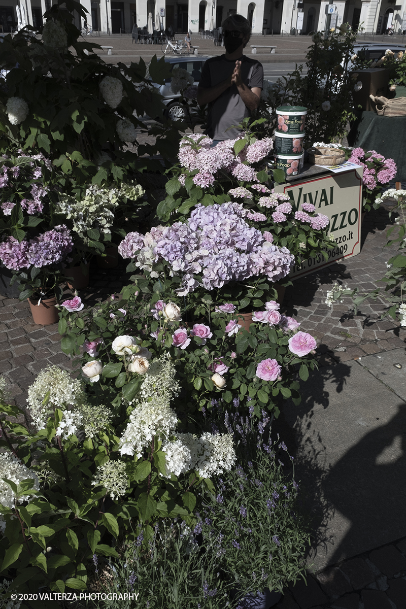 _DSF9829.jpg - 28/06/2020. Torino. Si rinnova l'appuntamento con i vivaisti e con i produttori Agricoli in Piazza Vittorio. AgriFlor Ã¨ realizzato in collaborazione con Rinascente, partner dellâ€™iniziativa. Lo Store in via Lagrange ha ospitato â€œiniziative e talkâ€� allâ€™interno dellâ€™Exhibition Area al piano -1, giÃ  allestita a tema Design&Green con unâ€™incredibile varietÃ  di fiori e piante. Nella foto lo spazio dei Vivai Pozzo in piazza Vittorio.