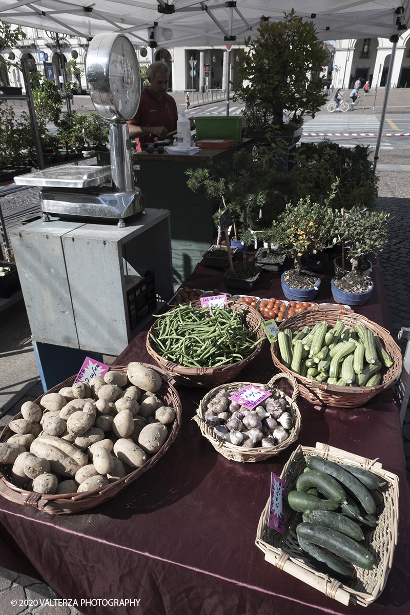 _DSF9840.jpg - 28/06/2020. Torino. Si rinnova l'appuntamento con i vivaisti e con i produttori Agricoli in Piazza Vittorio. AgriFlor Ã¨ realizzato in collaborazione con Rinascente, partner dellâ€™iniziativa. Lo Store in via Lagrange ha ospitato â€œiniziative e talkâ€� allâ€™interno dellâ€™Exhibition Area al piano -1, giÃ  allestita a tema Design&Green con unâ€™incredibile varietÃ  di fiori e piante. Nella foto vari prodotti ortofrutticoli esposti in piazza Vittorio Veneto.