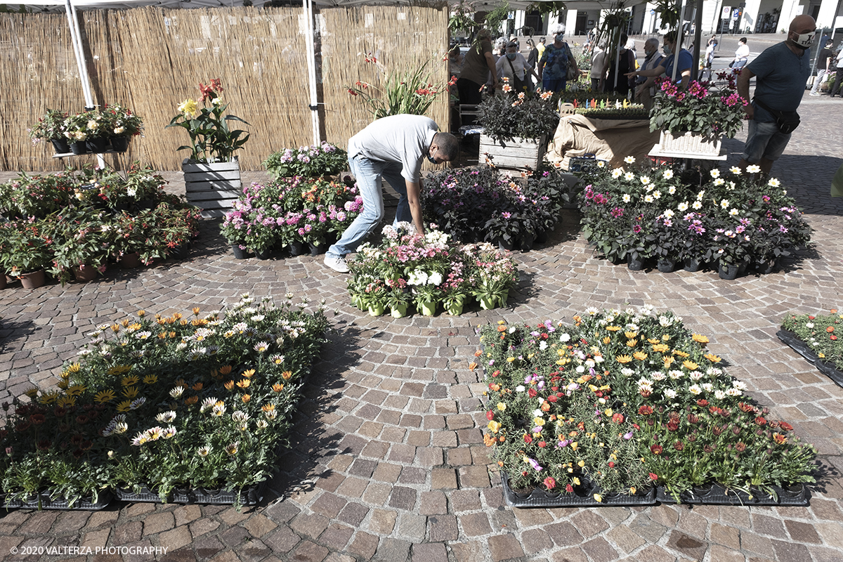 _DSF9894.jpg - 28/06/2020. Torino. Si rinnova l'appuntamento con i vivaisti e con i produttori Agricoli in Piazza Vittorio. AgriFlor Ã¨ realizzato in collaborazione con Rinascente, partner dellâ€™iniziativa. Lo Store in via Lagrange ha ospitato â€œiniziative e talkâ€� allâ€™interno dellâ€™Exhibition Area al piano -1, giÃ  allestita a tema Design&Green con unâ€™incredibile varietÃ  di fiori e piante. Nella foto in Piazza Vittorio spazio dedicato a vivaisti provenienti dalLago Maggiore.