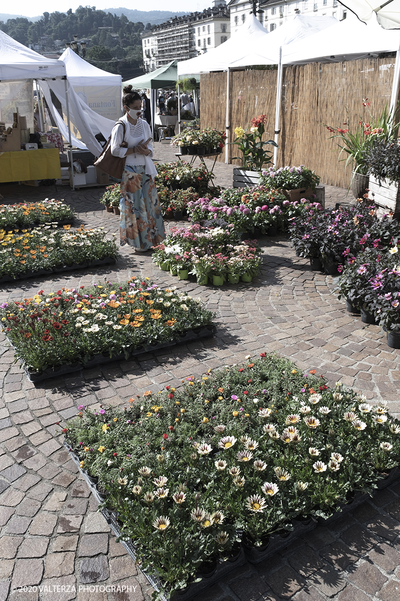 _DSF9900.jpg - 28/06/2020. Torino. Si rinnova l'appuntamento con i vivaisti e con i produttori Agricoli in Piazza Vittorio. AgriFlor Ã¨ realizzato in collaborazione con Rinascente, partner dellâ€™iniziativa. Lo Store in via Lagrange ha ospitato â€œiniziative e talkâ€� allâ€™interno dellâ€™Exhibition Area al piano -1, giÃ  allestita a tema Design&Green con unâ€™incredibile varietÃ  di fiori e piante. Nella foto in Piazza Vittorio spazio dedicato a vivaisti provenienti dalLago Maggiore.