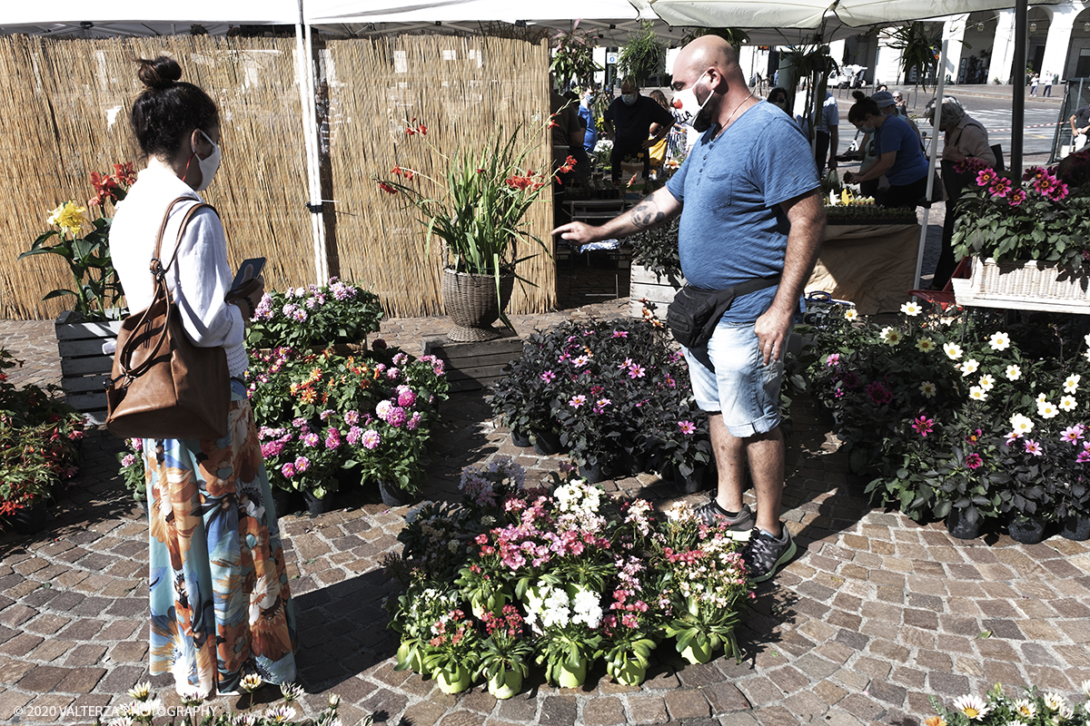 _DSF9905.jpg - 28/06/2020. Torino. Si rinnova l'appuntamento con i vivaisti e con i produttori Agricoli in Piazza Vittorio. AgriFlor Ã¨ realizzato in collaborazione con Rinascente, partner dellâ€™iniziativa. Lo Store in via Lagrange ha ospitato â€œiniziative e talkâ€� allâ€™interno dellâ€™Exhibition Area al piano -1, giÃ  allestita a tema Design&Green con unâ€™incredibile varietÃ  di fiori e piante. Nella foto in Piazza Vittorio spazio dedicato a vivaisti provenienti dalLago Maggiore.