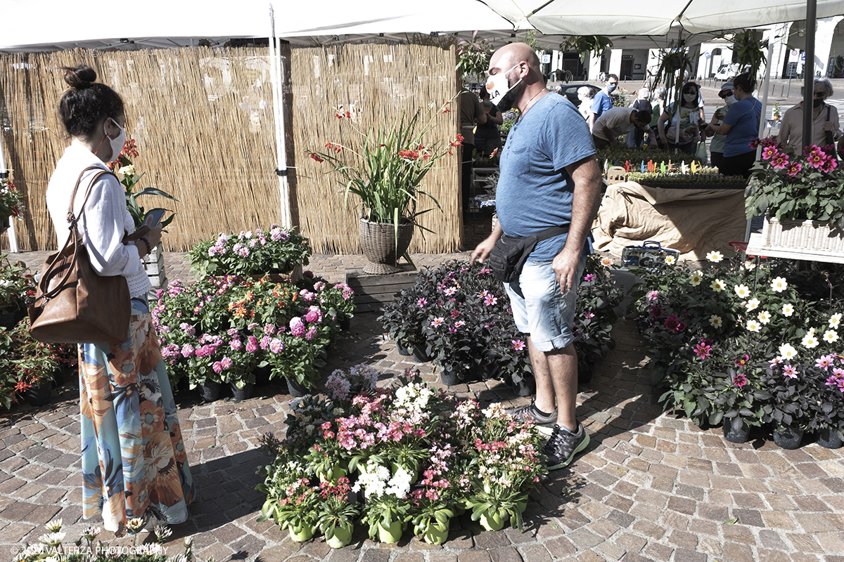 _DSF9908.jpg - 28/06/2020. Torino. Si rinnova l'appuntamento con i vivaisti e con i produttori Agricoli in Piazza Vittorio. AgriFlor Ã¨ realizzato in collaborazione con Rinascente, partner dellâ€™iniziativa. Lo Store in via Lagrange ha ospitato â€œiniziative e talkâ€� allâ€™interno dellâ€™Exhibition Area al piano -1, giÃ  allestita a tema Design&Green con unâ€™incredibile varietÃ  di fiori e piante. Nella foto in Piazza Vittorio spazio dedicato a vivaisti provenienti dalLago Maggiore.