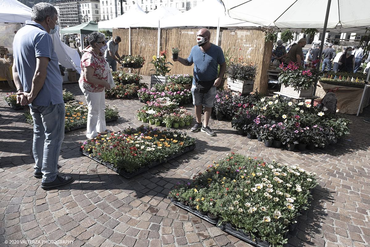 _DSF9917.jpg - 28/06/2020. Torino. Si rinnova l'appuntamento con i vivaisti e con i produttori Agricoli in Piazza Vittorio. AgriFlor Ã¨ realizzato in collaborazione con Rinascente, partner dellâ€™iniziativa. Lo Store in via Lagrange ha ospitato â€œiniziative e talkâ€� allâ€™interno dellâ€™Exhibition Area al piano -1, giÃ  allestita a tema Design&Green con unâ€™incredibile varietÃ  di fiori e piante. Nella foto in Piazza Vittorio spazio dedicato a vivaisti provenienti dalLago Maggiore.