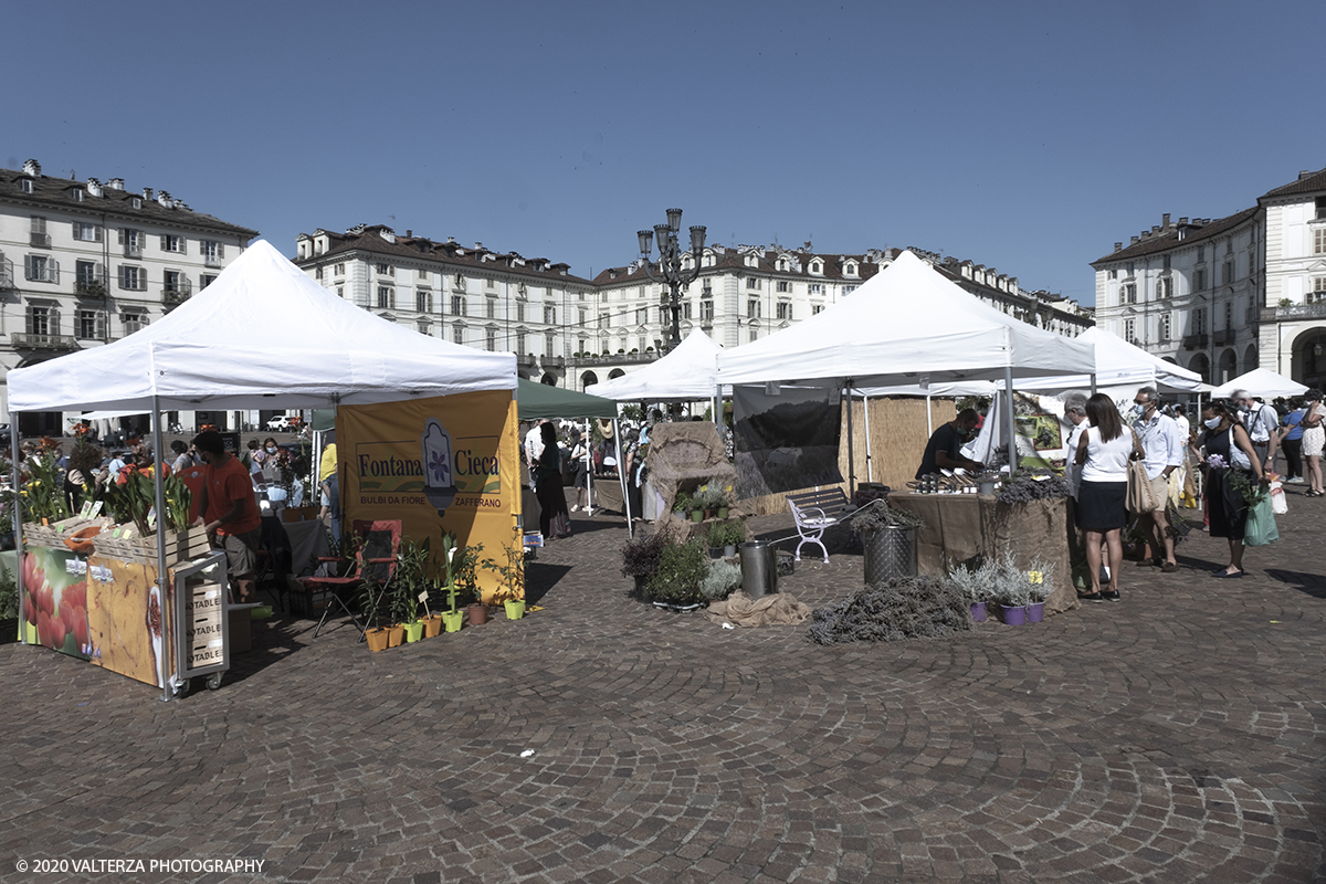 _DSF9969.jpg - 28/06/2020. Torino. Si rinnova l'appuntamento con i vivaisti e con i produttori Agricoli in Piazza Vittorio. AgriFlor Ã¨ realizzato in collaborazione con Rinascente, partner dellâ€™iniziativa. Lo Store in via Lagrange ha ospitato â€œiniziative e talkâ€� allâ€™interno dellâ€™Exhibition Area al piano -1, giÃ  allestita a tema Design&Green con unâ€™incredibile varietÃ  di fiori e piante. Nella foto lo spazio dedicato alla manifestazione in piazza Vittorio Veneto.