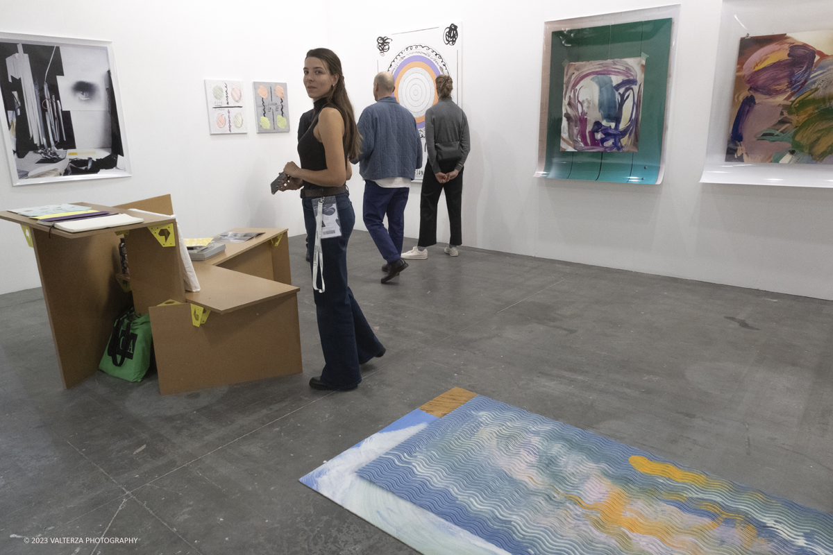 _DSF4651.jpg - Artissima is held in Lingotto Fiere Turin on 3 to 5 November 2023 showing the companies news of Italy and internationals related to sectors contemporary art. Gallery: Arcade London GBR