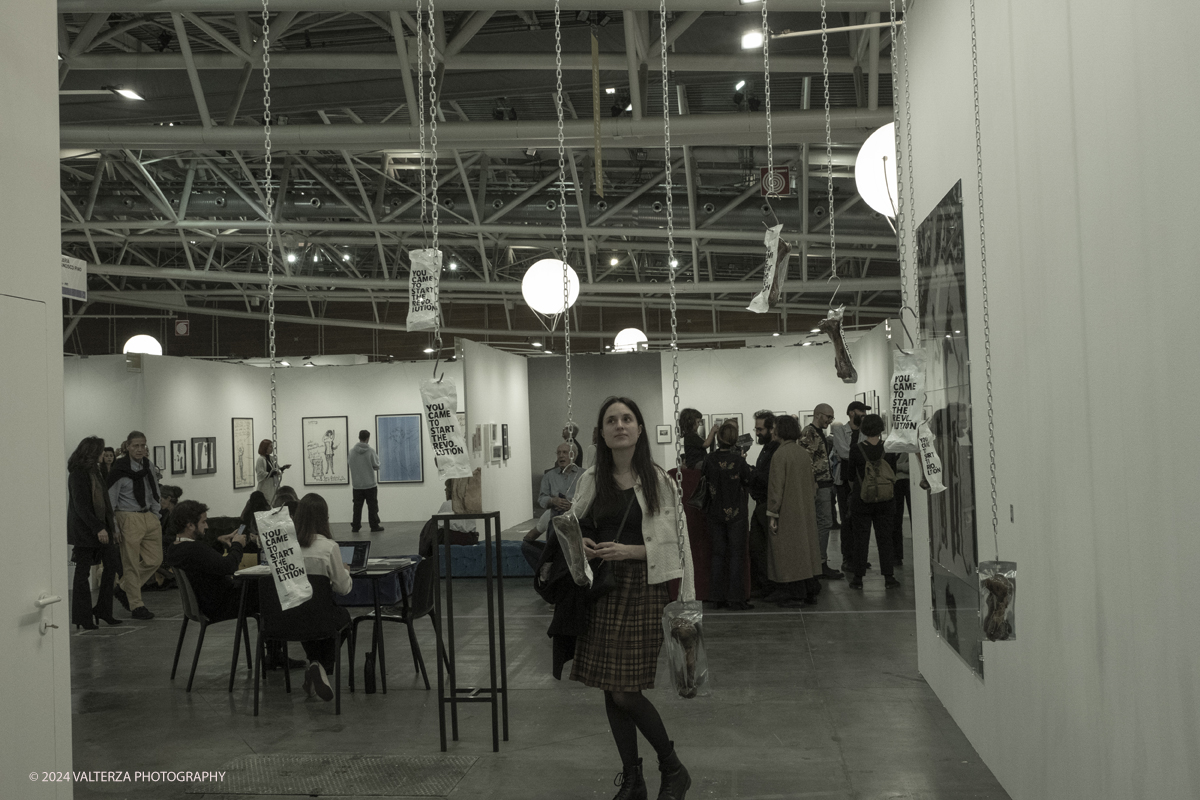 _DSF8131.jpg - Turin. Artissima is Italyâ€™s most important contemporary art fair. In 2024 Artissima welcomes 189 participating Italian and international galleries. The theme of the edition is The Era of Daydreaming.Gallery Francisco Fino, Lisbon Portugal