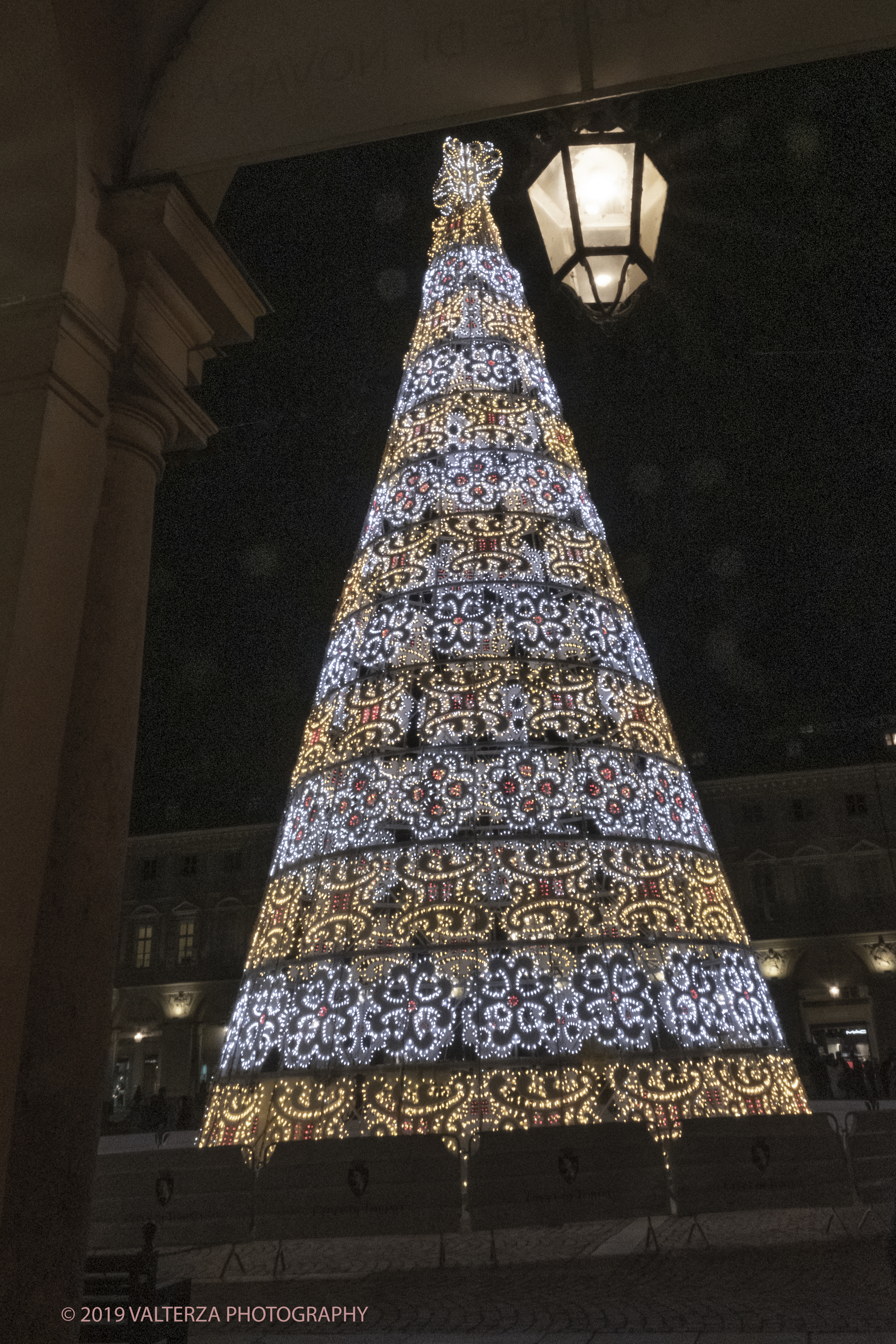 _DSF8053.jpg - 08/12/2019. Torino. La cittÃ  si prepara per la grande celebrazione di fine anno. Nella foto l'albero di Natale in piazza San Carlo