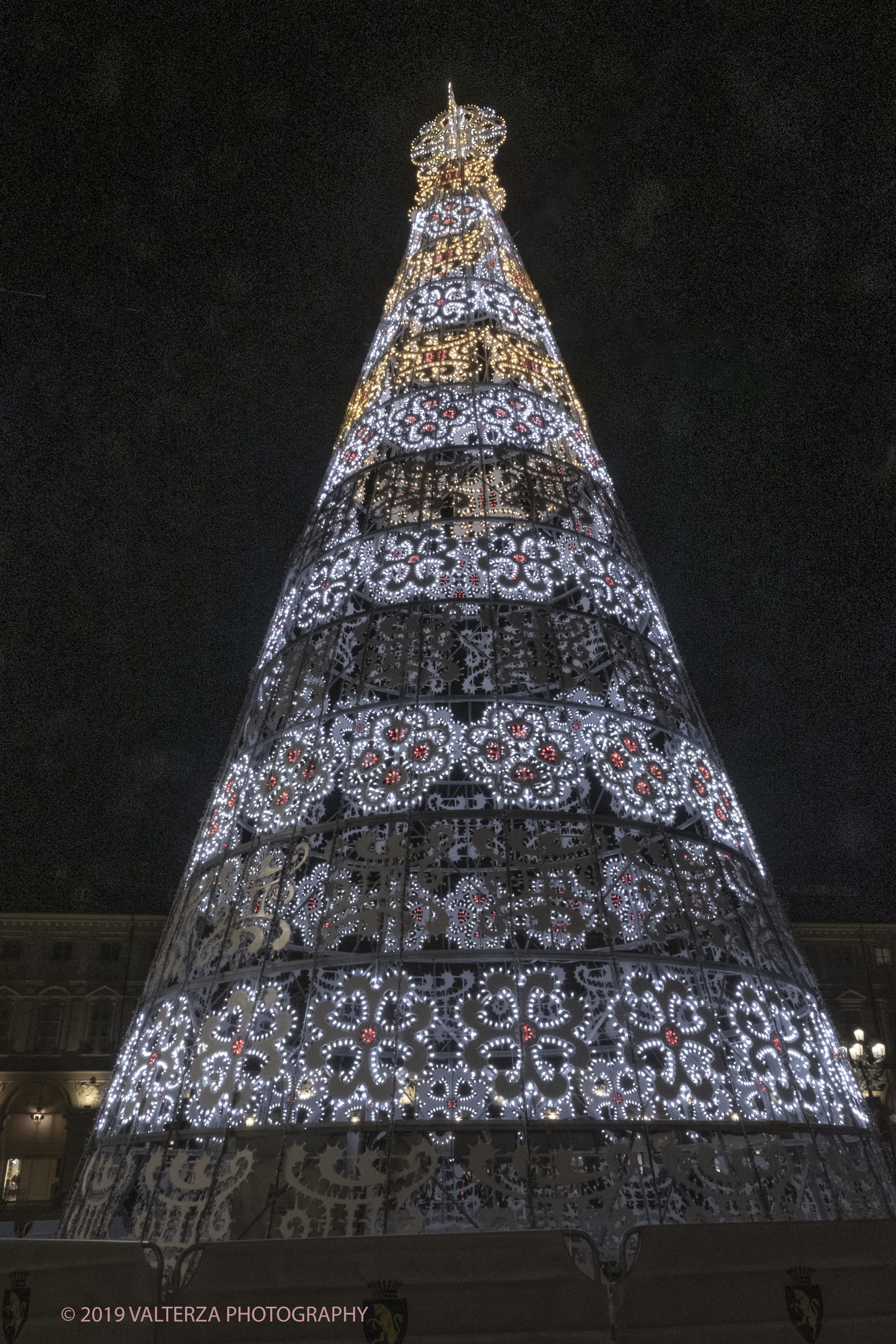 _DSF8067.jpg - 08/12/2019. Torino. La cittÃ  si prepara per la grande celebrazione di fine anno. Nella foto l'albero di Natale in piazza San Carlo