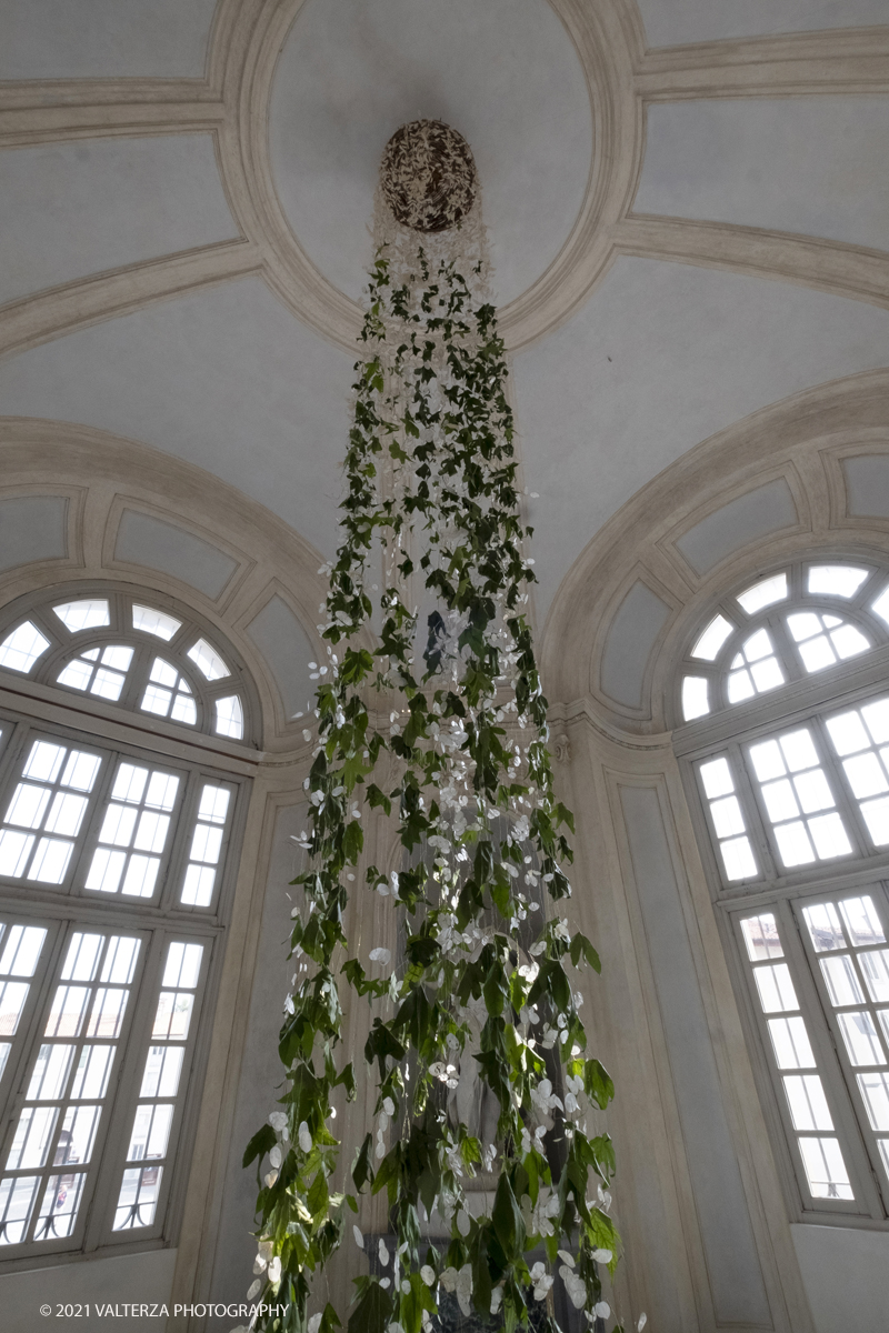 _DSF6132.jpg - 10/09/2021.Torino. Corollaria Flower ExhibitionAlla Reggia di Venaria la prima rassegna italiana dedicata allâ€™arte floreale ed al giardinoDal 10 al 19 settembre 2021. Nella foto al RondÃ² Alfierano, una delle prime installazioni, composta da innumerevoli frutti di lunaria e foglie di liquidambar.