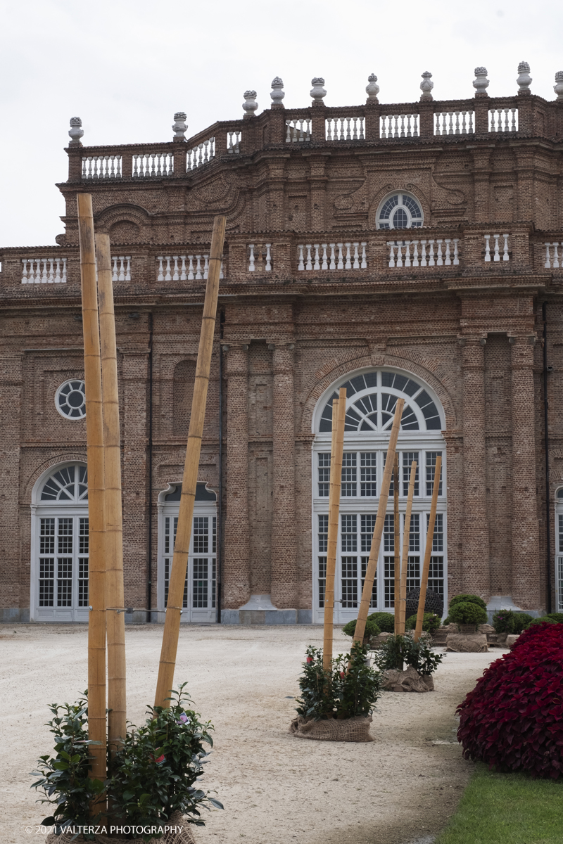 _DSF6211.jpg - 10/09/2021.Torino. COROLLARIA FLOWER EXHIBITIONAlla Reggia di Venaria la prima rassegna italiana dedicata allâ€™arte floreale e al giardinoDal 10 al 19 settembre 2021. Nella foto alcune delle installazioni del Gran Parterre esterno dove oltre 30 tra i migliori produttori di piante in vaso e per giardini provenienti da tutta Italia espongono le proprie creazioni.Nello specifico sculture realizzate con canne di bambÃ¹