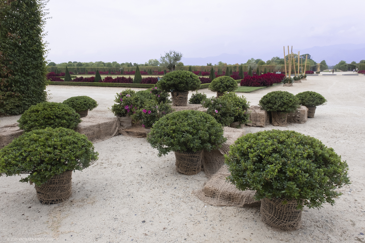 _DSF6223.jpg - 10/09/2021.Torino. COROLLARIA FLOWER EXHIBITIONAlla Reggia di Venaria la prima rassegna italiana dedicata allâ€™arte floreale e al giardinoDal 10 al 19 settembre 2021. Nella foto alcune delle installazioni del Gran Parterre esterno dove oltre 30 tra i migliori produttori di piante in vaso e per giardini provenienti da tutta Italia espongono le proprie creazioni