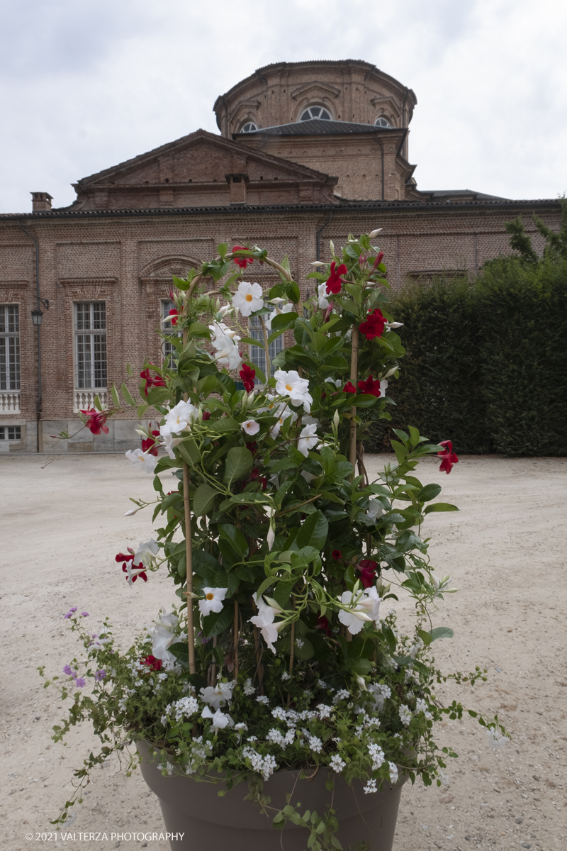 _DSF6270.jpg - 10/09/2021.Torino. COROLLARIA FLOWER EXHIBITIONAlla Reggia di Venaria la prima rassegna italiana dedicata allâ€™arte floreale e al giardinoDal 10 al 19 settembre 2021. Nella foto uno dei vasi facenti parte delle installazioni esposte nel Gran Parterre esterno.