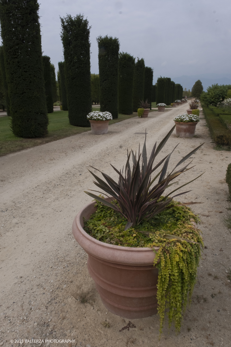 _DSF6292.jpg - 10/09/2021.Torino. COROLLARIA FLOWER EXHIBITIONAlla Reggia di Venaria la prima rassegna italiana dedicata allâ€™arte floreale e al giardinoDal 10 al 19 settembre 2021. Nella foto l'area del Gran Parterre esterno dove oltre 30 tra i migliori produttori di piante in vaso e per giardini provenienti da tutta Italia andranno via via ad eporre le proprie creazioni