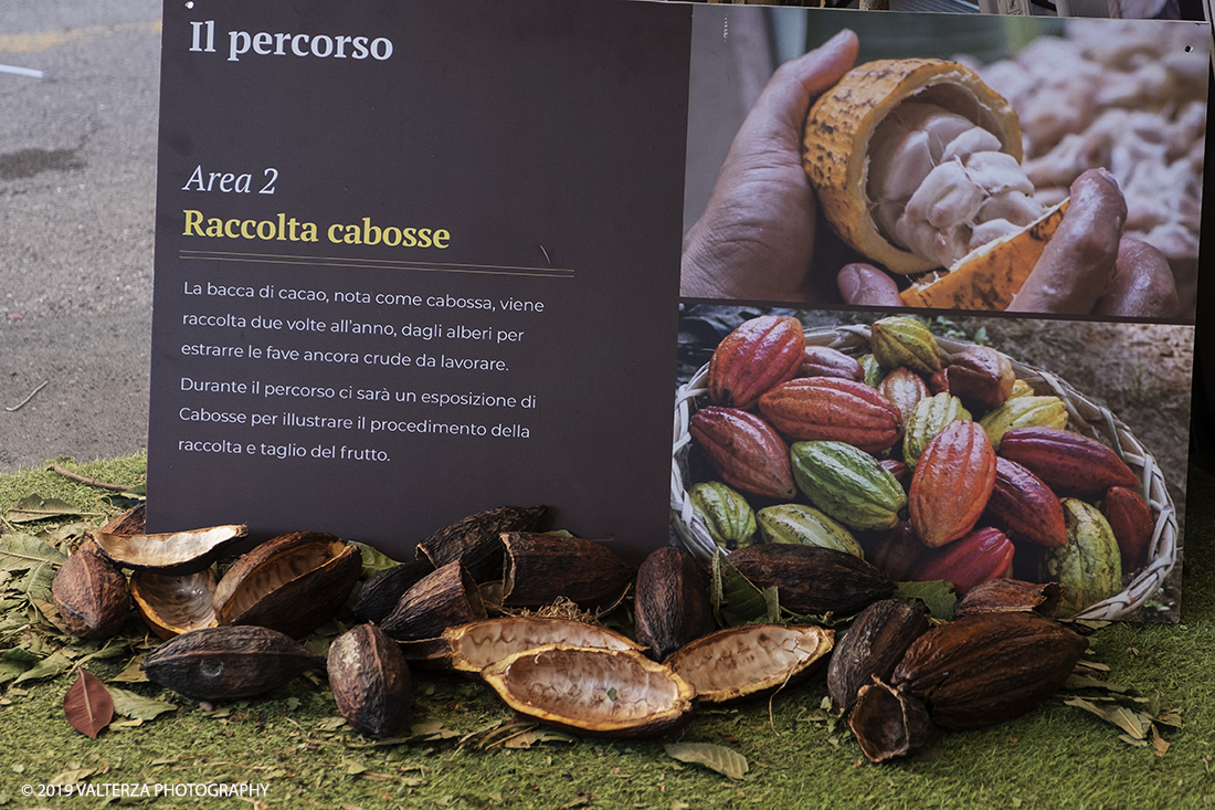 _DSF9150.jpg - 22/03/2019.TORINO. Giornata inaugurale dell secoda edizione dei DOLCI PORTICI. Nella foto  illustrazione del processo di produzione del cioccolato nello stand della DA