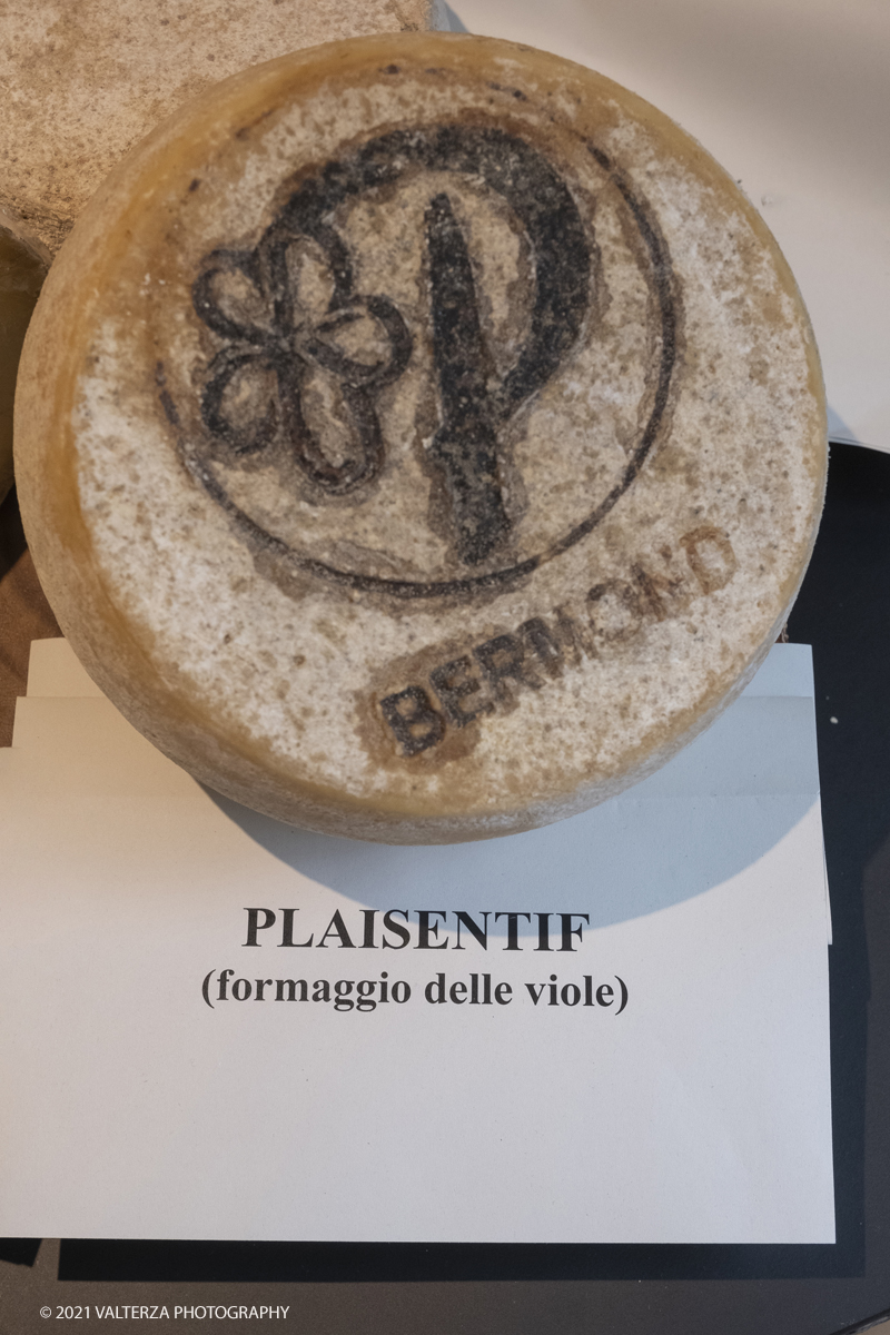 _DSF8122.jpg - 25/09/2021.Torino. Si Ã¨ svolta l'anteprima in presenza del Festival del Giornalismo Alimentare 2021 con â€œSostenibili dalla colazione allâ€™aperitivo". Nella foto toma di formaggio Plaisentif, il formaggio delle viole