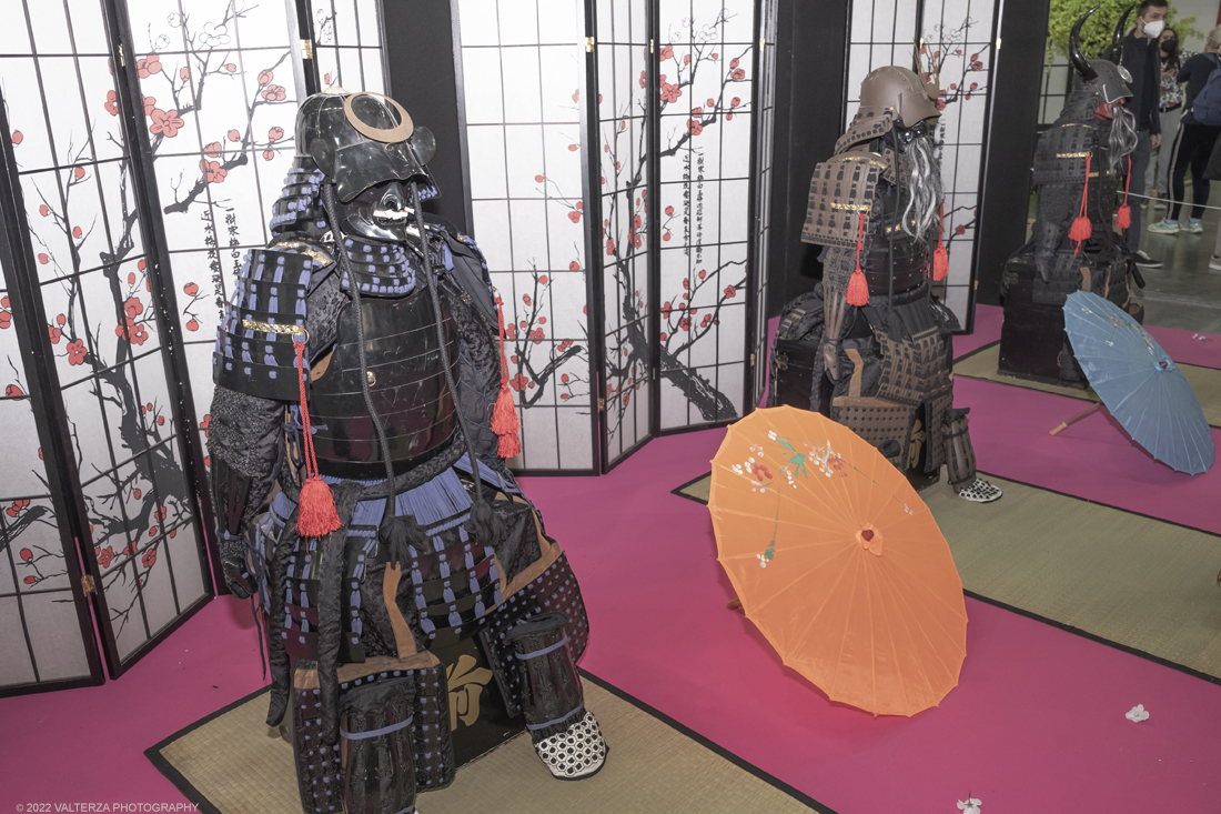 _DSF8004.jpg - 19 e 26 Marzo 2022. Torino. Festival dell'Oriente, le mostre dedicate al Giappone. Nella foto la mostra dedicata ai Samurai con le loro armature, elmetti e spade (Katane)