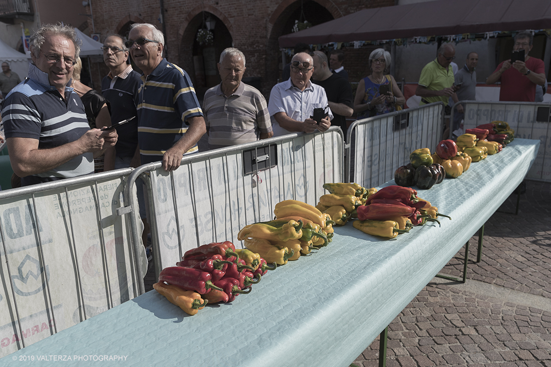 _G3I3036.jpg - 01/09/2019. Carmagnola. TO. Concorso del Peperone  Riservato ai produttori dellâ€™area di coltivazione del Peperone di Carmagnola, si premiano i migliori esemplari i dei quattro ecotipi locali: quadrato, lungo o corno di bue, trottola e tumaticot. Nella foto peperoni selezionati per la partecipazione al concorso