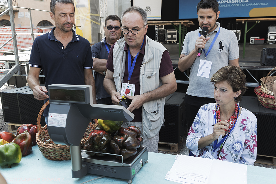 _G3I3180.jpg - 01/09/2019. Carmagnola. TO. Concorso del Peperone  Riservato ai produttori dellâ€™area di coltivazione del Peperone di Carmagnola, si premiano i migliori esemplari i dei quattro ecotipi locali: quadrato, lungo o corno di bue, trottola e tumaticot. Nella foto un momento della pesatura e documentazione fotografica dei peperoni selezionati per il concorso.