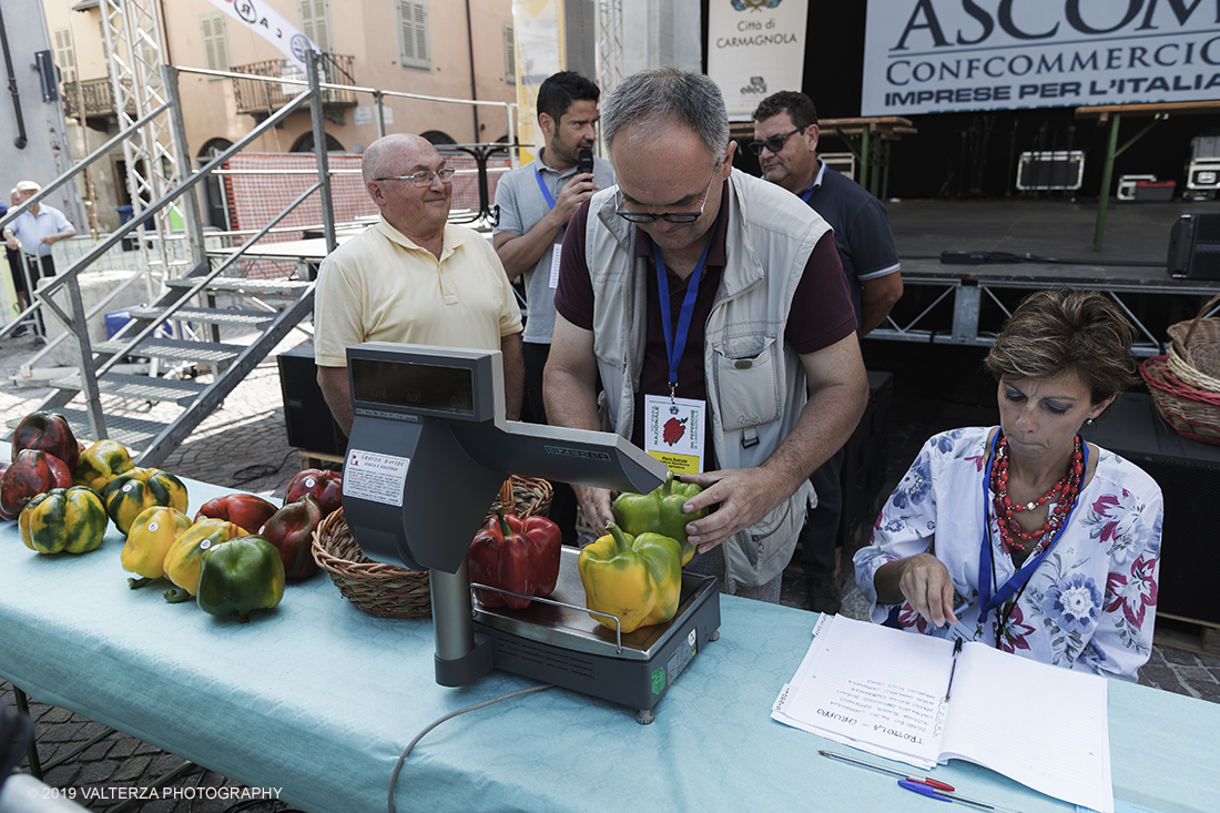 _G3I3201.jpg - 01/09/2019. Carmagnola. TO. Concorso del Peperone  Riservato ai produttori dellâ€™area di coltivazione del Peperone di Carmagnola, si premiano i migliori esemplari i dei quattro ecotipi locali: quadrato, lungo o corno di bue, trottola e tumaticot. Nella foto un momento della pesatura e documentazione fotografica dei peperoni selezionati per il concorso.