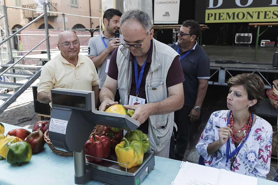 _G3I3207.jpg - 01/09/2019. Carmagnola. TO. Concorso del Peperone  Riservato ai produttori dellâ€™area di coltivazione del Peperone di Carmagnola, si premiano i migliori esemplari i dei quattro ecotipi locali: quadrato, lungo o corno di bue, trottola e tumaticot. Nella foto un momento della pesatura e documentazione fotografica dei peperoni selezionati per il concorso.