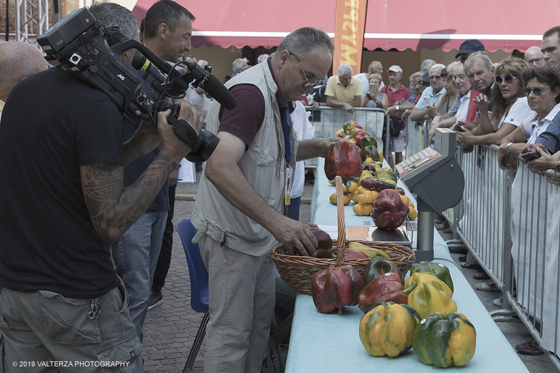 _G3I3274.jpg - 01/09/2019. Carmagnola. TO. Concorso del Peperone  Riservato ai produttori dellâ€™area di coltivazione del Peperone di Carmagnola, si premiano i migliori esemplari i dei quattro ecotipi locali: quadrato, lungo o corno di bue, trottola e tumaticot. Nella foto un momento della pesatura e documentazione fotografica dei peperoni selezionati per il concorso.