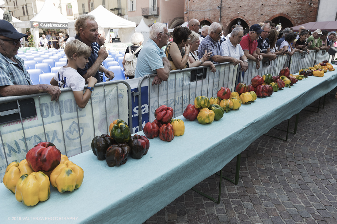 _G3I3278.jpg - 01/09/2019. Carmagnola. TO. Concorso del Peperone  Riservato ai produttori dellâ€™area di coltivazione del Peperone di Carmagnola, si premiano i migliori esemplari i dei quattro ecotipi locali: quadrato, lungo o corno di bue, trottola e tumaticot. Nella foto peproni selezionati per la partecipazione al concorso.