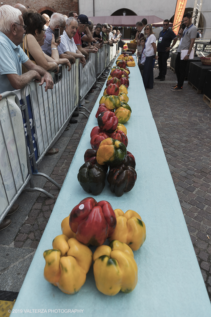 _G3I3307.jpg - 01/09/2019. Carmagnola. TO. Concorso del Peperone  Riservato ai produttori dellâ€™area di coltivazione del Peperone di Carmagnola, si premiano i migliori esemplari i dei quattro ecotipi locali: quadrato, lungo o corno di bue, trottola e tumaticot. Nella foto peproni selezionati per la partecipazione al concorso.