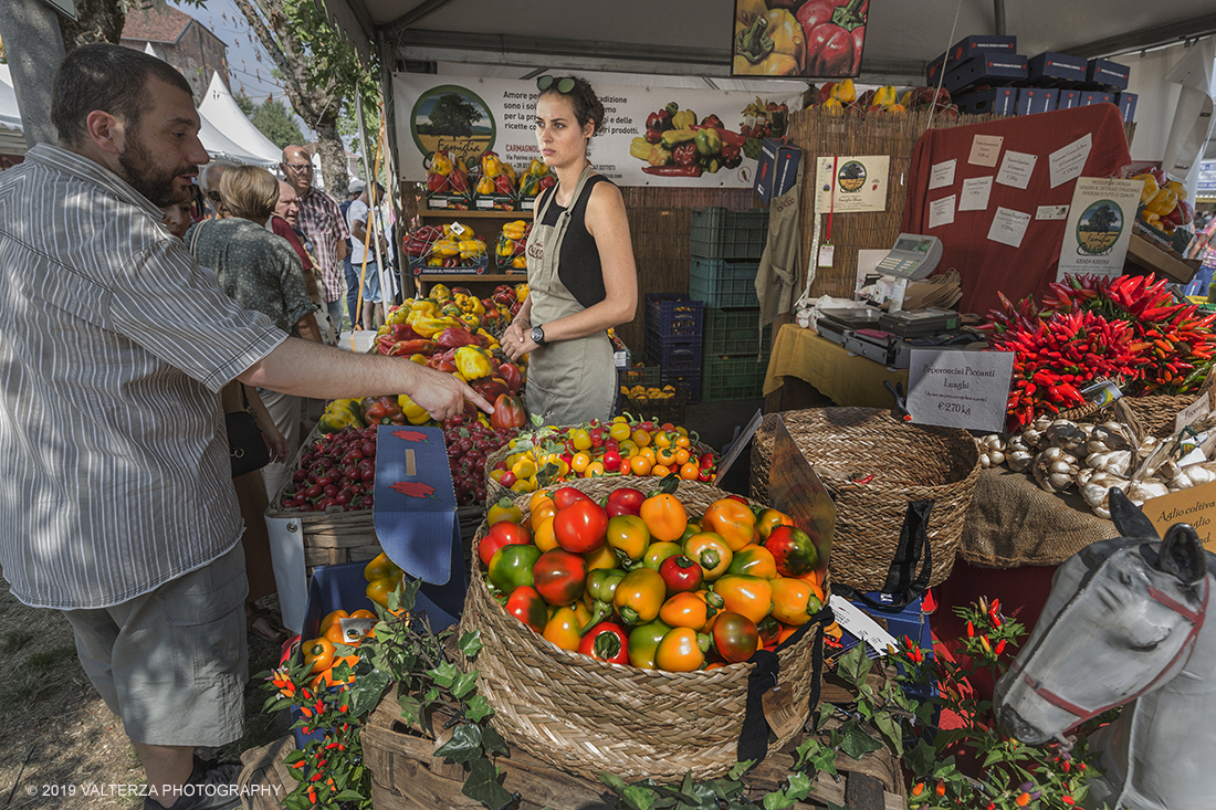 _X9B0483.jpg - 01/09/2019. Carmagnola. TO. Concorso del Peperone  Riservato ai produttori dellâ€™area di coltivazione del Peperone di Carmagnola, si premiano i migliori esemplari i dei quattro ecotipi locali: quadrato, lungo o corno di bue, trottola e tumaticot. Nella foto stand di vendita dei peperoni.