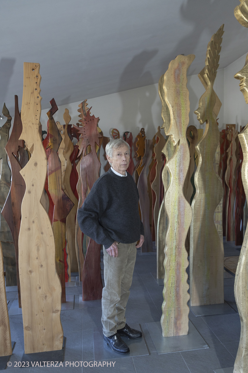 _G5A5168.jpg - Giovanni Borgarello Artist and wooden sculptures. Giovanni Borgarello Born in Cambiano - Turin Italy in 1950, he graduated from the Liceo Artistico and Accademia Albertina di Belle Arti in Turin. He lives in his museum studio via De Gasperi, 37 - 10020 Cambiano (To) among the majestic monuments and marbles of Carrara and the scent of exotic woods transformed into unique and original artistic objects .He was a student of Sandro Cherchi.