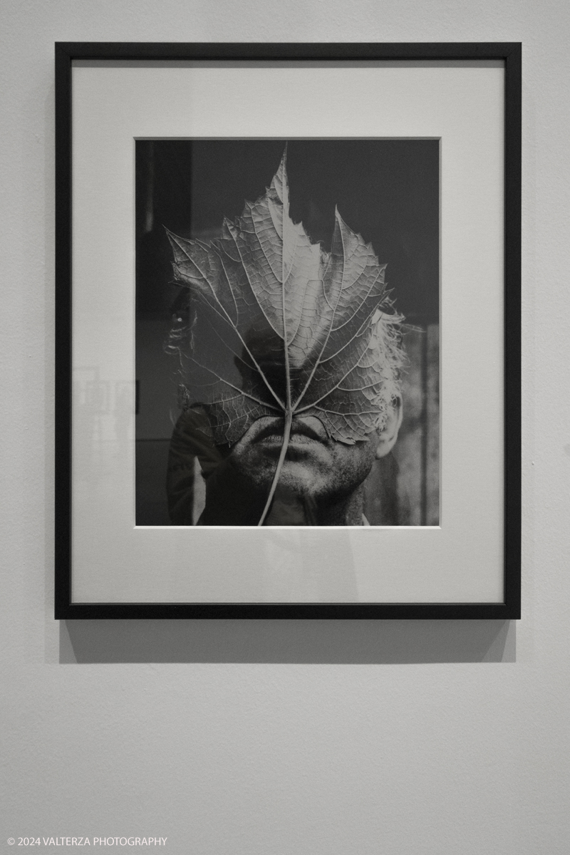 _DSF2152.jpg - 05/05/2024. Torino. Lâ€™esposizione alla GAM intende porre lâ€™accento sulla centralitÃ  del tema della fotografia , dalle immagini di Ghirri in cui lo sguardo di spettatori si frappone tra obiettivo fotografico e opere dâ€™arte a quelle di Mulas, che piÃ¹ di tutti seppe ritrarre il paesaggio delle mostre e dello studio come spazi di pensiero dellâ€™artista. Nella foto Gianfranco Gorgoni, Elsworth Kelly, N.Y., 1973