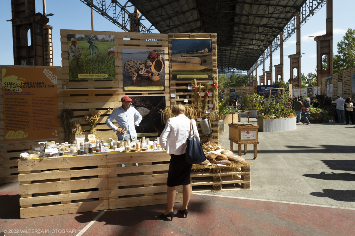 DSCF7589.jpg - 23/09/2022. Torino. Apertura della 14esima edizione di Terra Madre Salone del Gusto, lâ€™evento globale organizzato da Slow Food, Regione Piemonte e CittÃ  di Torino dedicato al cibo buono, pulito e giusto e alle politiche alimentari. Nella foto l'area dell'orto didattico resistente, che ospita piante aromatiche, un biolago, un pergolato di leguminose e luppolo, un rosetoâ€¦