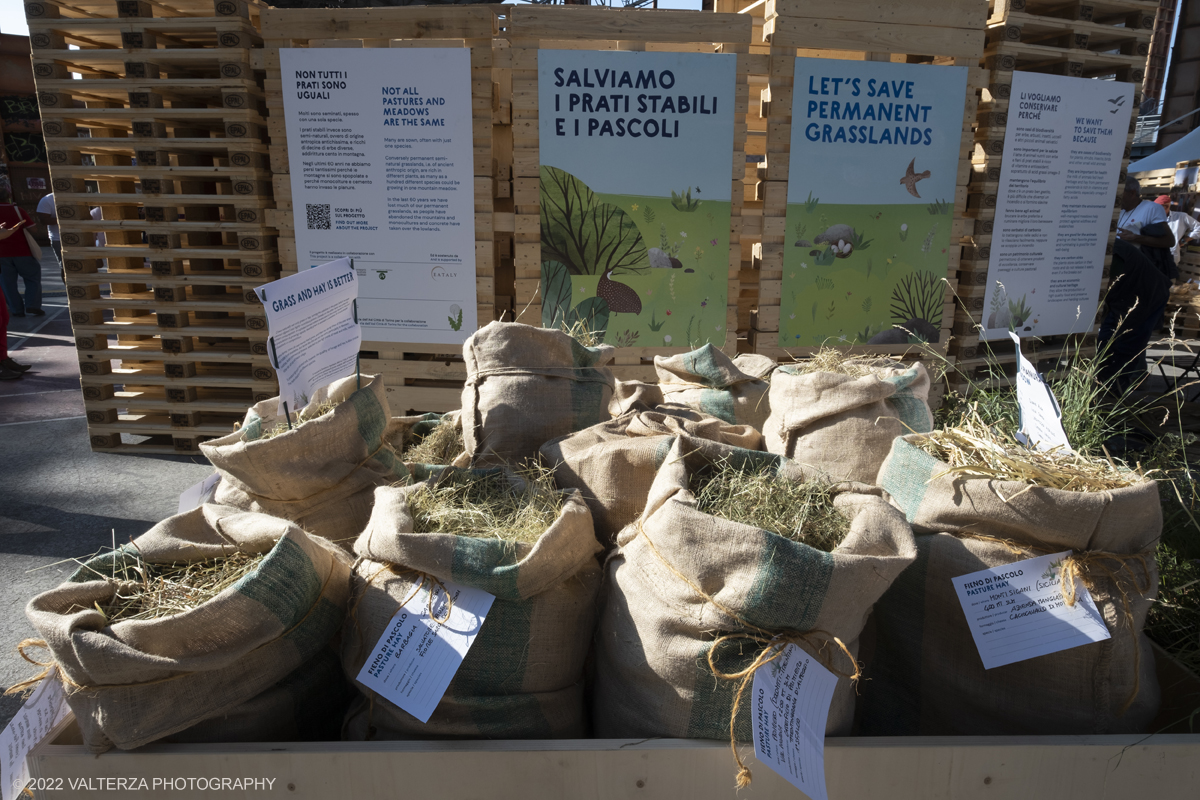 DSCF7752.jpg - 23/09/2022. Torino. Apertura della 14esima edizione di Terra Madre Salone del Gusto, lâ€™evento globale organizzato da Slow Food, Regione Piemonte e CittÃ  di Torino dedicato al cibo buono, pulito e giusto e alle politiche alimentari. Nella foto fieno ed erba varie al cosiddetto orto.