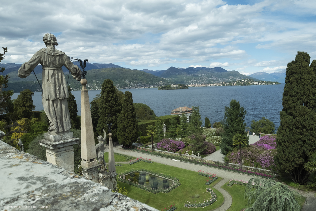 _DSF3828.jpg - 02/05/2021. Stresa. Dal weekend appena trascorso i visitatori possono ammirare le fioriture dei giardini e riscoprire i tesori storici e artistici nel palazzo Borromeo dell'Isola Bella. Nella foto veduta dei giardini