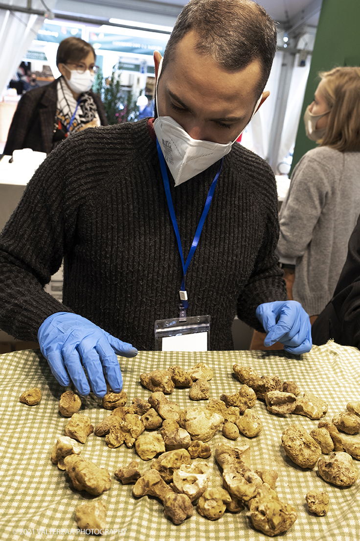 _DSF1473.jpg - 09/10/2021. Alba. Il mercato mondiale della fiera Ã¨ il punto di convergenza dell'evento dove Ã¨ possibile acquistare esemplari certificati di tartufo bianco. Nella foto giudici al lavoro per certificare i tuberi sottoposti dai trifulau