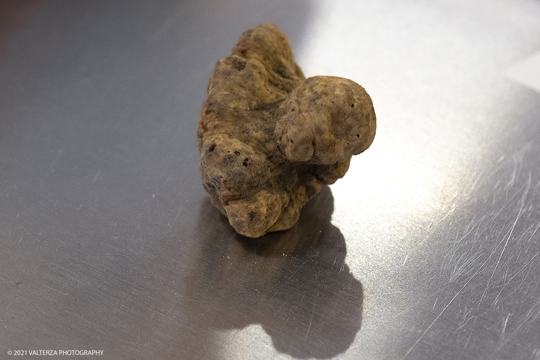 _DSF1516.jpg - 09/10/2021. Alba. Il mercato mondiale della fiera Ã¨ il punto di convergenza dell'evento dove Ã¨ possibile acquistare esemplari certificati di tartufo bianco. Nella foto tartufo sulla bilancia per il controllo del peso e definizione del prezzo di vendita