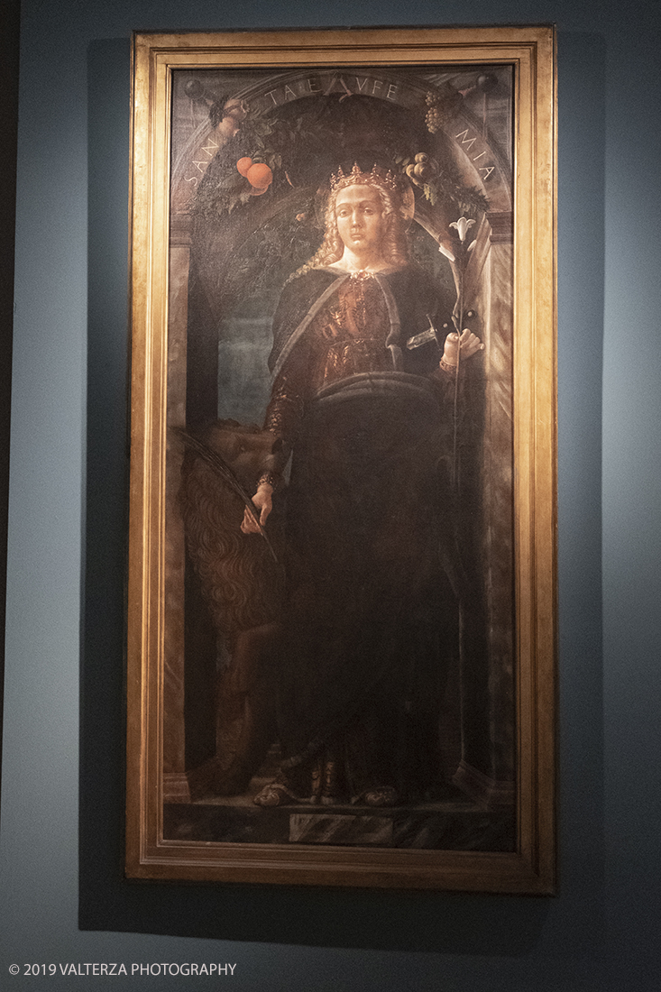 _DSF1027.jpg - 11/12/2019. Torino. Andrea Mantegna. Rivivere l'antico ,costruire il moderno. Nella foto Andrea Mantegna. Sant'Eufemia 1454