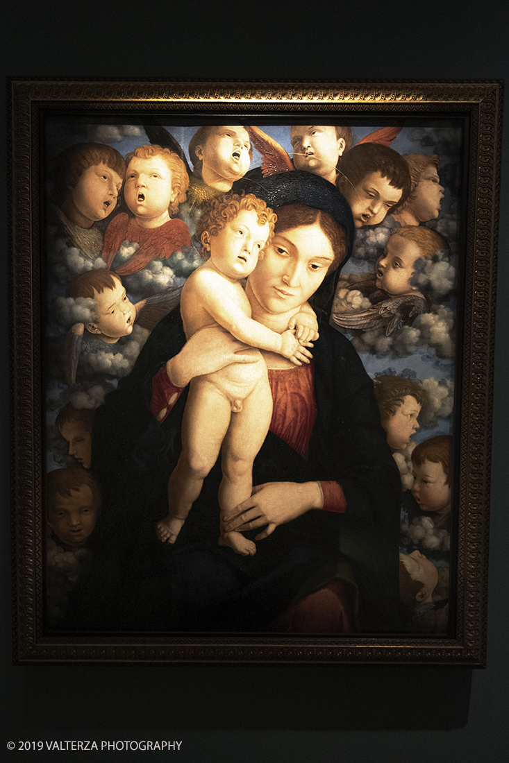 _DSF9026.jpg - 11/12/2019. Torino. Andrea Mantegna. Rivivere l'antico ,costruire il moderno. Nella foto Andrea Mantegna . Madonna dei cherubini. 1485 ca.