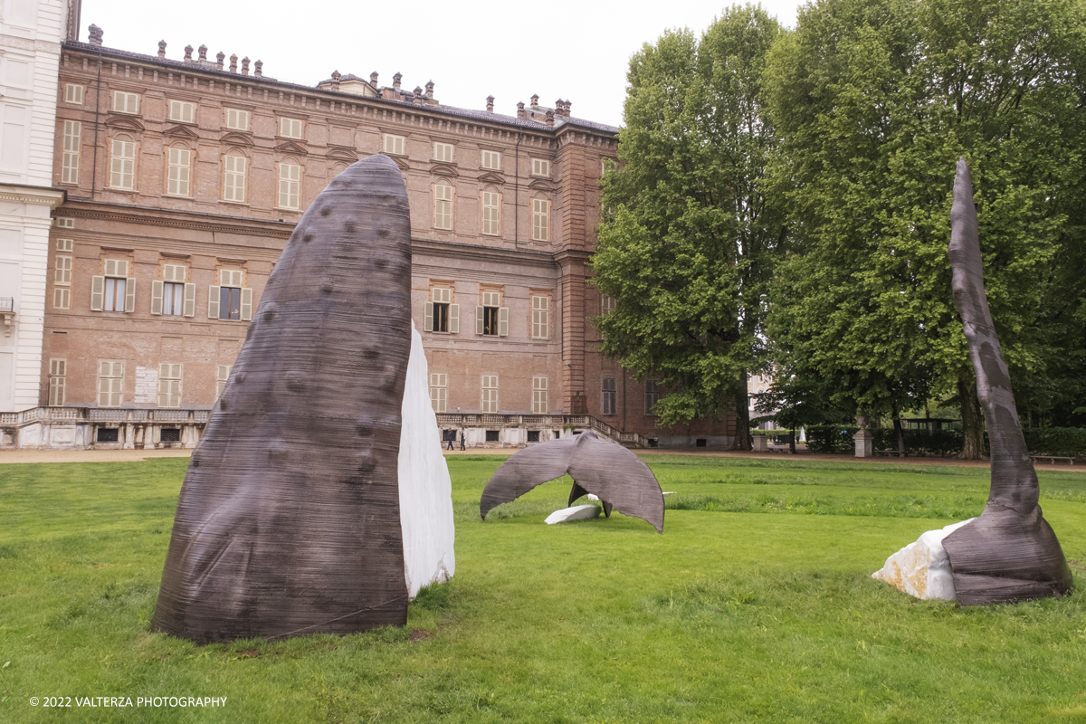 _DSF9831.jpg - 05/05/2022. Torino. La mostra Ã¨ la proposta con cui i Musei Reali intendono creare un percorso di visita innovativo nel quale le tecniche e i linguaggi dellâ€™arte contemporanea dialoghino con la cornice dellâ€™antica residenza. Nella foto opera di aolo Albertelli e Mariagrazia Abbaldo Il passo delle balene, opera di landscape, 2019/2022