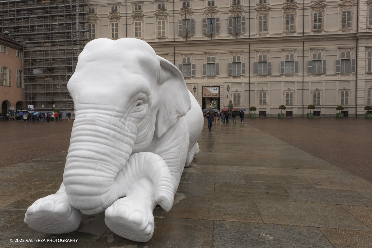 _DSF9848.jpg - 05/05/2022. Torino. La mostra Ã¨ la proposta con cui i Musei Reali intendono creare un percorso di visita innovativo nel quale le tecniche e i linguaggi dellâ€™arte contemporanea dialoghino con la cornice dellâ€™antica residenza. Nella foto opera di Stefano Bombardieri, Omaggio a Colbert 2022