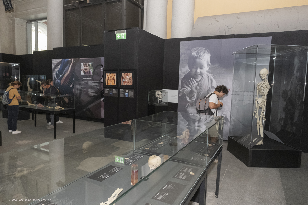 _DSF5200.jpg - 15/09/20223. Torino. La Sala degli Stemmi della Stazione di Torino Porta Nuova ospita, dal 15 settembre 2023 al 14 gennaio 2024, la nuova mostra originale â€œBody Worlds Vitalâ€�. Nella foto in visita alla mostra