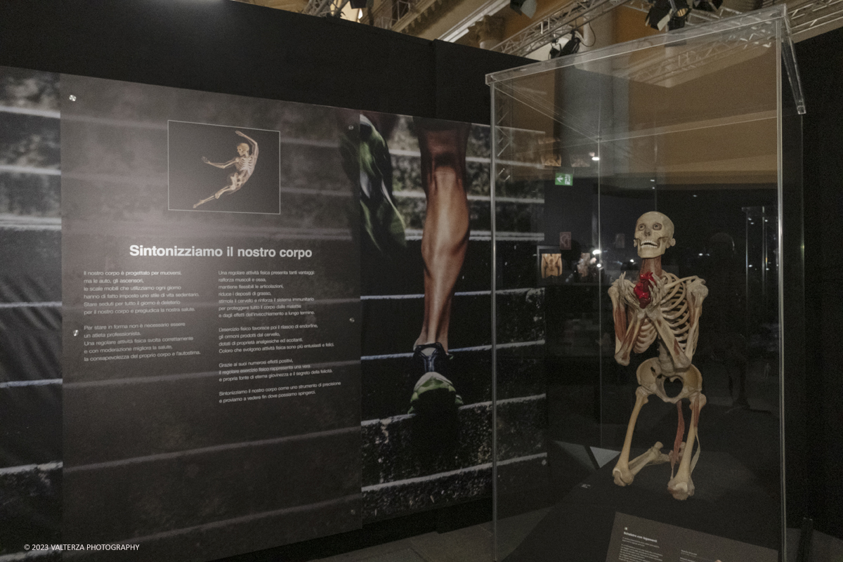 _DSF5209.jpg - 15/09/20223. Torino. La Sala degli Stemmi della Stazione di Torino Porta Nuova ospita, dal 15 settembre 2023 al 14 gennaio 2024, la nuova mostra originale â€œBody Worlds Vitalâ€�. Nella foto parte dell'area della mostra