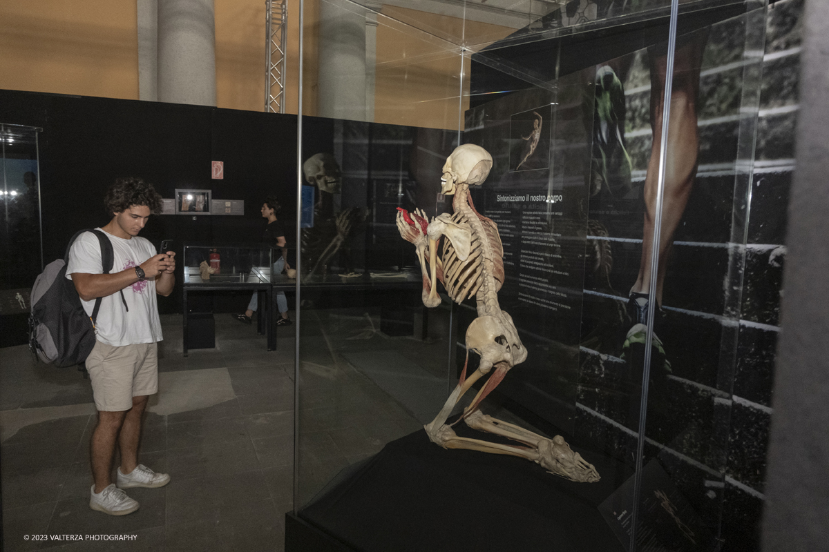 _DSF5213.jpg - 15/09/20223. Torino. La Sala degli Stemmi della Stazione di Torino Porta Nuova ospita, dal 15 settembre 2023 al 14 gennaio 2024, la nuova mostra originale â€œBody Worlds Vitalâ€�. Nella foto in visita alla mostra