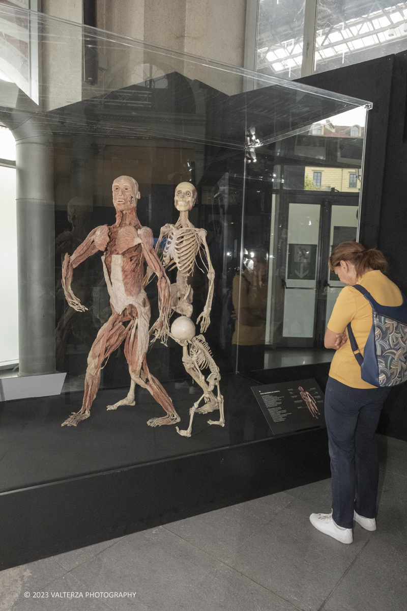 _DSF5219.jpg - 15/09/20223. Torino. La Sala degli Stemmi della Stazione di Torino Porta Nuova ospita, dal 15 settembre 2023 al 14 gennaio 2024, la nuova mostra originale â€œBody Worlds Vitalâ€�. Nella foto in visita alla mostra