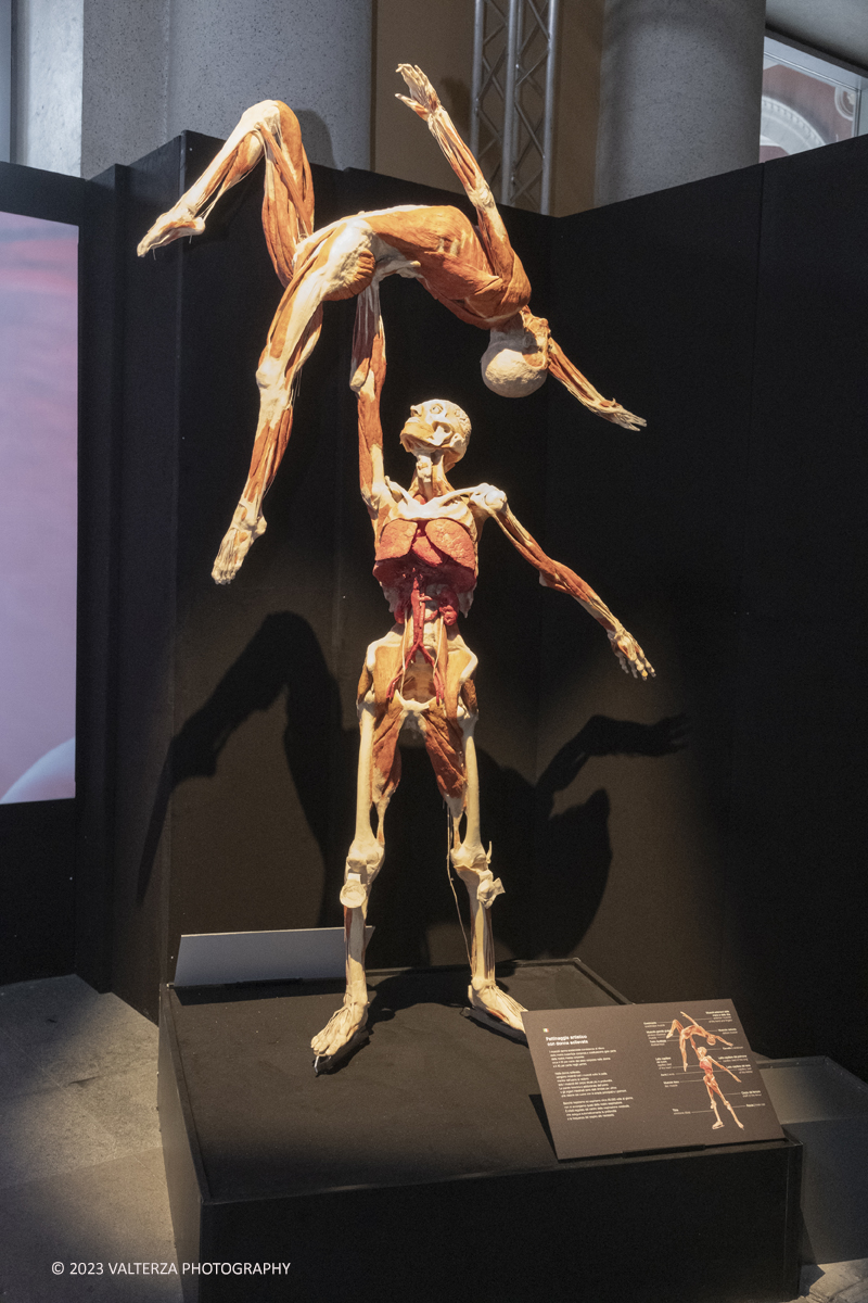 _DSF5249.jpg - 15/09/20223. Torino. La Sala degli Stemmi della Stazione di Torino Porta Nuova ospita, dal 15 settembre 2023 al 14 gennaio 2024, la nuova mostra originale â€œBody Worlds Vitalâ€�. Nella foto coppia di pattinatori