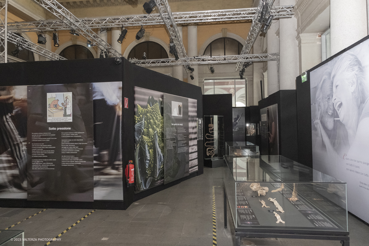 _DSF5251.jpg - 15/09/20223. Torino. La Sala degli Stemmi della Stazione di Torino Porta Nuova ospita, dal 15 settembre 2023 al 14 gennaio 2024, la nuova mostra originale â€œBody Worlds Vitalâ€�. Nella foto parte dell'area della mostra