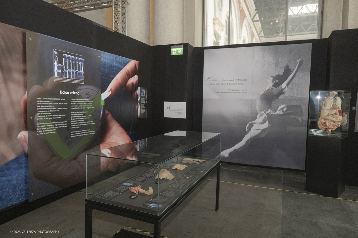 _DSF5262.jpg - 15/09/20223. Torino. La Sala degli Stemmi della Stazione di Torino Porta Nuova ospita, dal 15 settembre 2023 al 14 gennaio 2024, la nuova mostra originale â€œBody Worlds Vitalâ€�. Nella foto parte dell'area della mostra